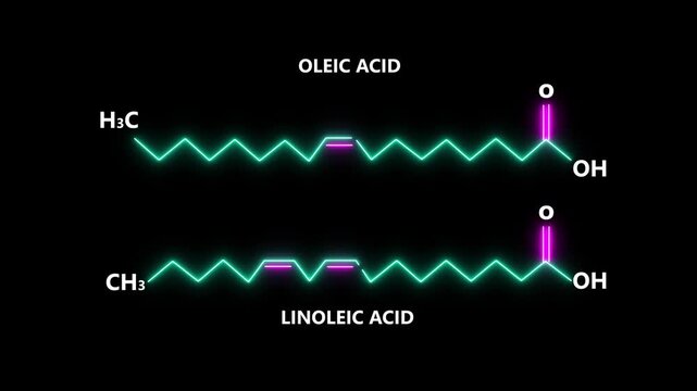 Oleic Acid and Linoleic Acid Chemical Structures on black Background.