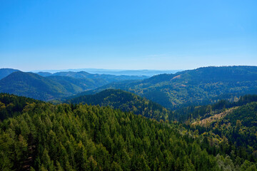 Obraz premium Wide scenic view of green mountain slopes covered with dense forest under bright blue sky. Concept of nature, wilderness and environmental conservation