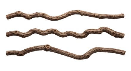 Three Brown Twigs Isolated on White Background Natural Elements and Design Concepts