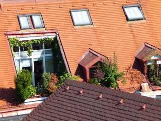 Eine Dachwohnung mit begr&uuml;nten Fenstern in Wien.