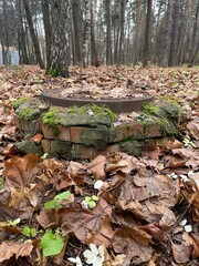 Obraz premium An old round metal manhole, partially hidden in the forest floor, is surrounded by colorful autumn leaves and green moss, indicating the process of nature's restoration.