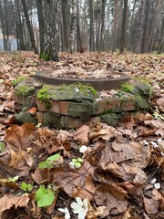 An old round metal manhole, partially hidden in the forest floor, is surrounded by colorful autumn leaves and green moss, indicating the process of nature's restoration.