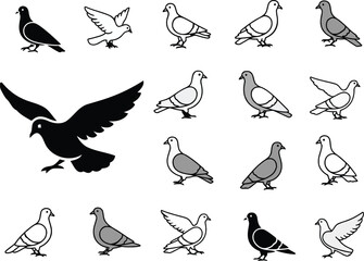 Stylized pigeon dove icon collection, various poses and colors