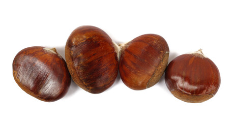 Fresh raw chestnut pile isolated on white background, top view