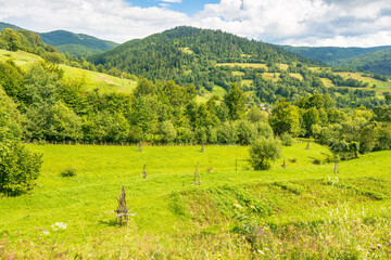 Fototapeta premium countryside mountain landscape in summer. rural field and forest on the rolling hills of carpathians under cloudy sky. village in the valley. scenic view of alpine scenery on a sunny afternoon