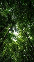 Sunlight struggles to penetrate the dense, vibrant green foliage high in the tropical forest canopy layer, creating dappled shadows below ,lush ,wild ,background