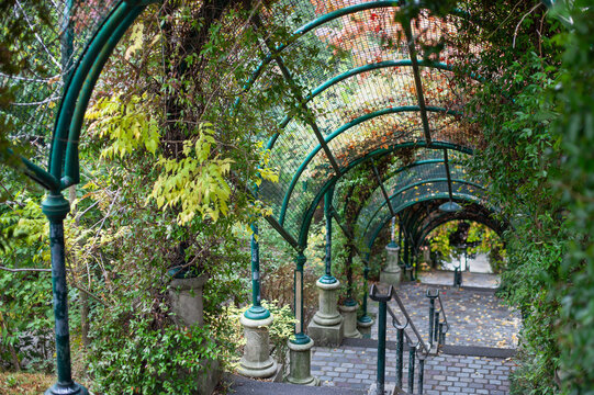 Trellis and paving stones in the park