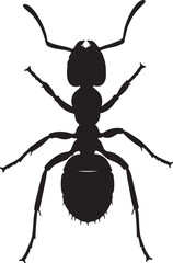 Black Silhouette of an Ant with Six Legs and Antennae on a White Background insect on transparent background