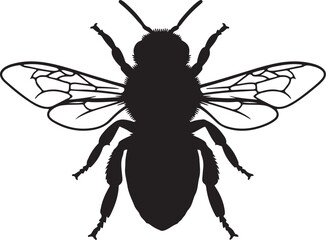 Black Silhouette of a Bee with Detailed Wings and Body on a White Background insect on transparent background
