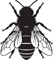 Black silhouette of a honey bee viewed from above on a white background insect animal on transparent background