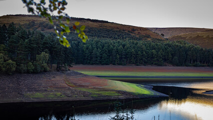 reflection of trees in the reservoir