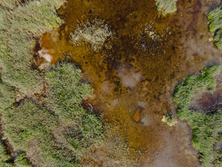 A top-down aerial image of a dense marsh landscape with green aquatic vegetation
