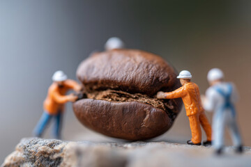 A group of men are pulling a coffee bean apart