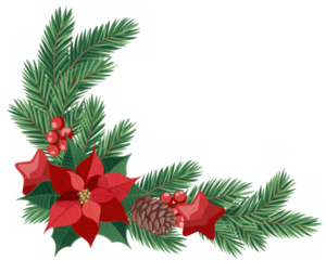 PNG Christmas corner arrangement christmas flower plant.
