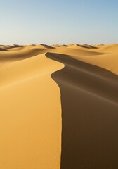 Sweeping golden dunes stretch endlessly under a clear sky, forming gentle undulations across a vast, unbroken natural landscape ,earth surface ,immense ,outdoors