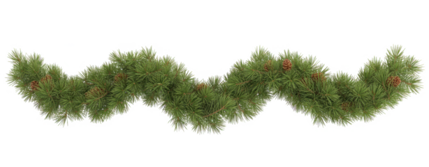 Green pine twigs in a Christmas garland isolated on transparent background

