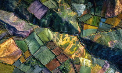 Colorful Patchwork Agricultural Landscape From Above