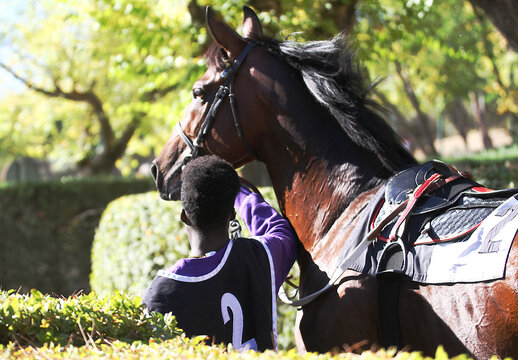 Mozo negro joven paseando caballo de carreras en el hip&oacute;dromo