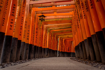 Torii Gate at Fushimi Inari Taisha
