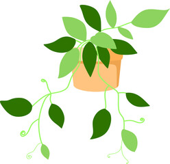 Pothos Hanging Plant Illustration