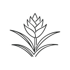 Abstract Line Drawing of a Tropical Flower Bloom with Leaves, Elegant Botanical Illustration, Minimalist Floral Design