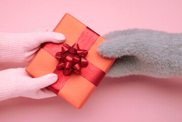 Female hands in warm mittens gives a gift children's hand in gloves on pink background