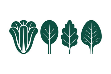 Green leafy vegetables icons: spinach, lettuce, and kale stylized collection