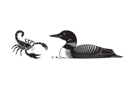 Vector illustration featuring a detailed scorpion and common loon bird