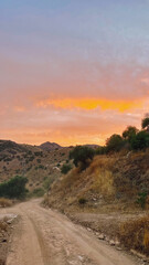 Fototapeta premium Rolling landscape with hills, dirt road and olive trees during sunset in countryside of Malaga, Andalucia, Spain.