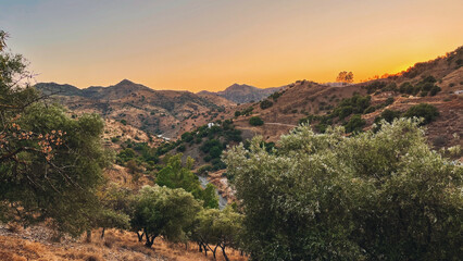 Rolling landscape with hills and olive trees during sunset in countryside of Malaga, Andalucia, Spain. © ysbrandcosijn