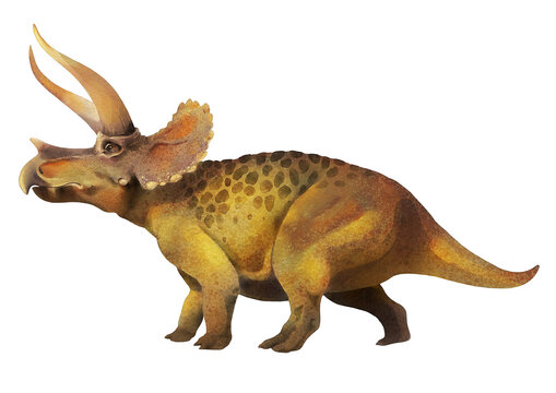 Triceratops. Giant dinosaur on a white background. Watercolor drawing.