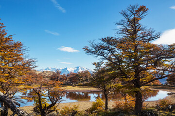 Naklejka premium Autumn in mountains