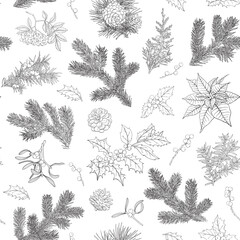 Line art Botanical Christmas Vintage seamless pattern fir branches holly mistletoe poinsettia juniper. Hand drawn vector background for design package, holiday decor, decoration new year. Black white