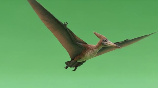 Majestic Pterodactyl soars across the prehistoric sky, a powerful symbol of ancient flight and a thrilling glimpse into the age of dinosaurs