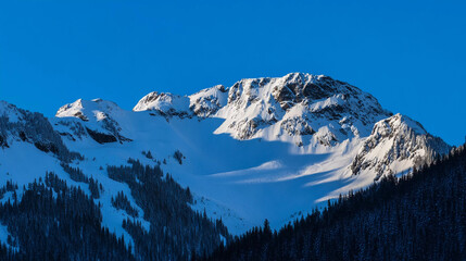 Stunning snow-capped mountain peak under clear blue sky showcasing winter beauty
