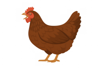 Brown hen clucking with comb and wattle, a domestic farm animal cartoon illustration, transparent background