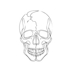 Stylized line drawing of a human skull with a cracked forehead and sharp teeth