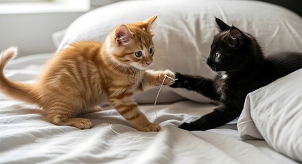 Playful kittens playfully batting at a string on a white bedsheet under soft indoor lighting perfect for pet blog or cute animal content