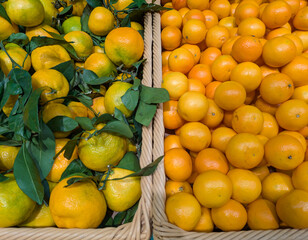 Tangerines in the supermarket