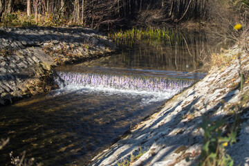 A small waterfall of a calm river in a park. Fuzine, Croatia