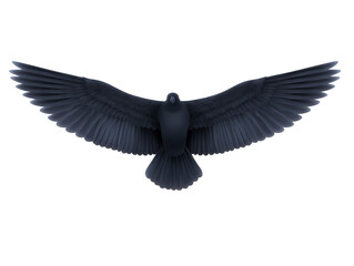 Naklejka premium Black bird silhouette with outstretched wings, isolated on transparent background, showing detailed feather pattern and symmetry, suitable for design, nature, and wildlife concepts