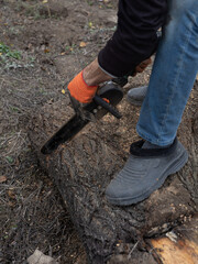 Worker cutting a log with an electric chainsaw