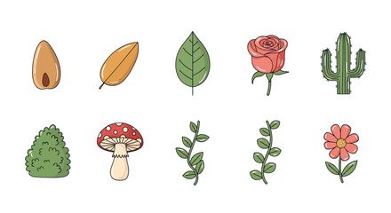 Assortment of botanical illustrations featuring leaves flowers and plant life