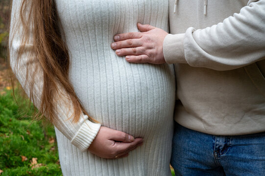 Couple's hands lovingly embrace a pregnant belly in a ribbed white dress against an autumn park backdrop. A symbol of new life and family love