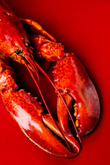 Lobster seafood, gourmet food, steamed lobster with big claws on red background, top view, flat lay, from above. Vertical art design photo, close-up 