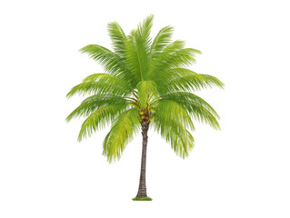 Tropical palm tree with lush green fronds and textured brown trunk, isolated on transparency background, evokes relaxing, exotic, and summery atmosphere, perfect for vacation themes
