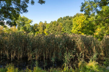 Fototapeta premium Autumn Landscape of South Park in city of Sofia, Bulgaria