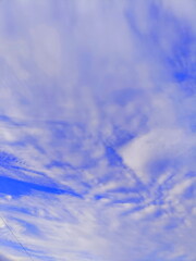 秋空　鱗雲　鰯雲