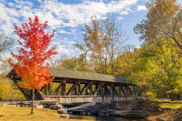 Obraz premium Sunny view of the beautiful autumn landscape in Dogwood Canyon Nature Park