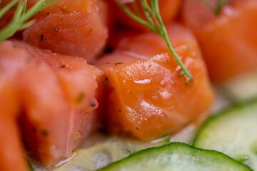 Salmon tartar with cucumber